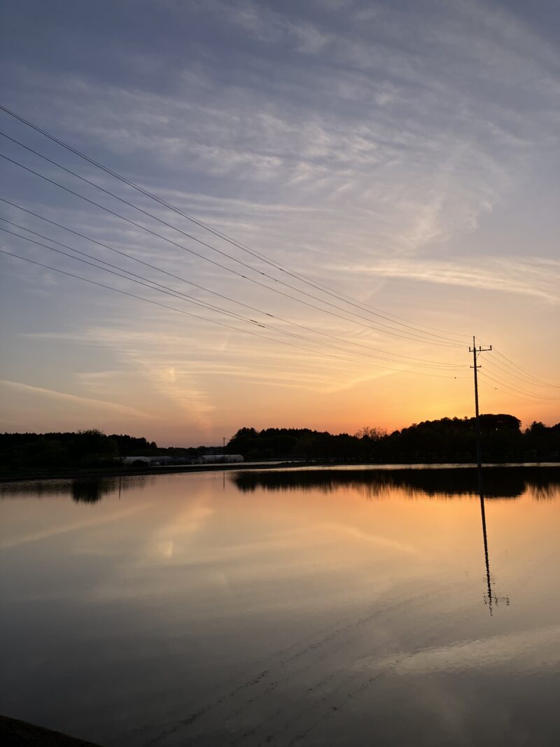 代かき後の夕暮れ