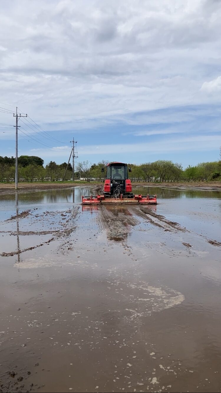 代かき中のトラクター